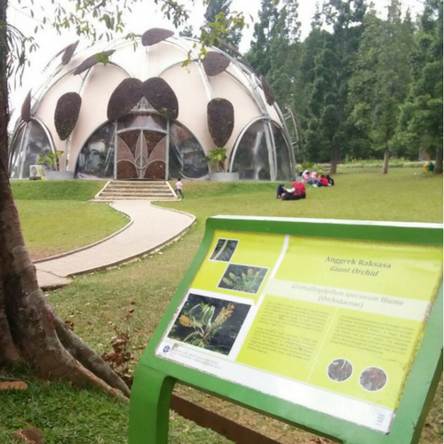 ecodome kebun raya bogor, tempat belajar yang asyik, artistik, dan ciamik | Seputarkota.com