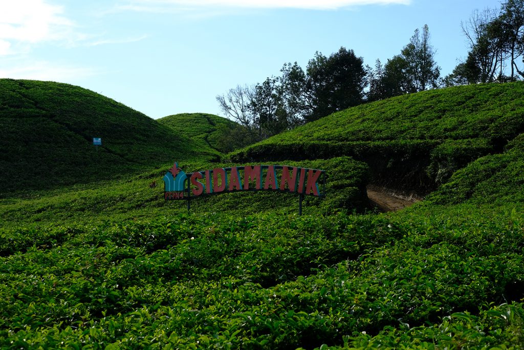 pemandangan kebun teh sidamanik | Seputarkota.com