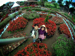 Taman Begonia, tempat wisata romantis di Bandung