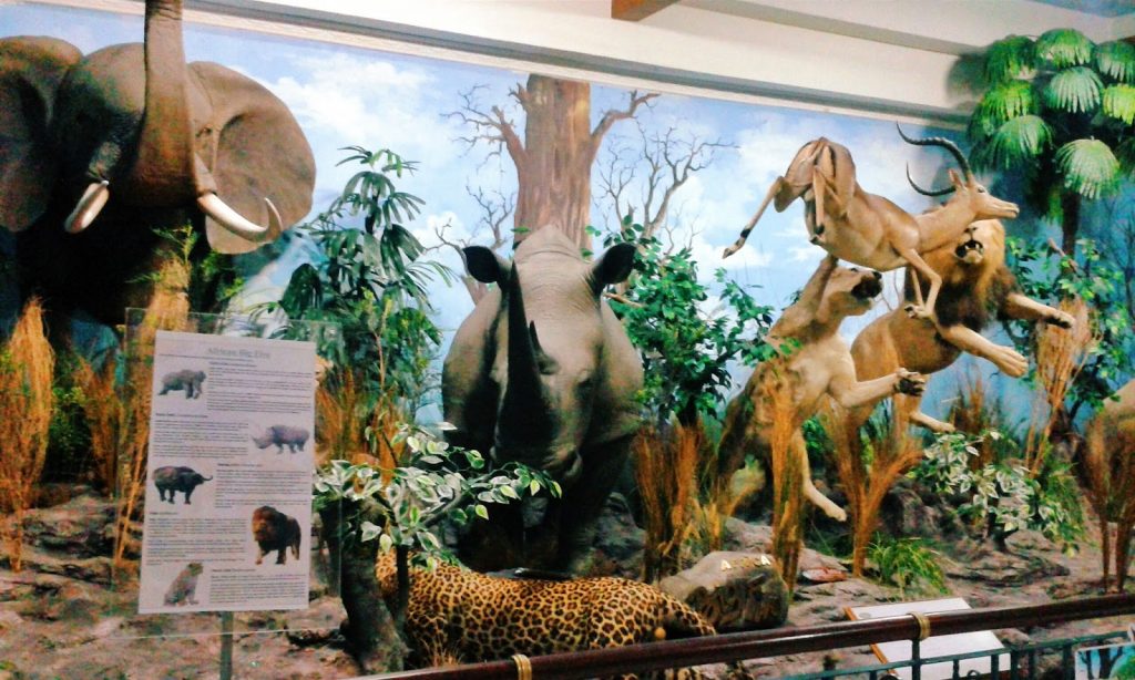 museum di Medan, Rahmat International Wildlife Museum & Gallery