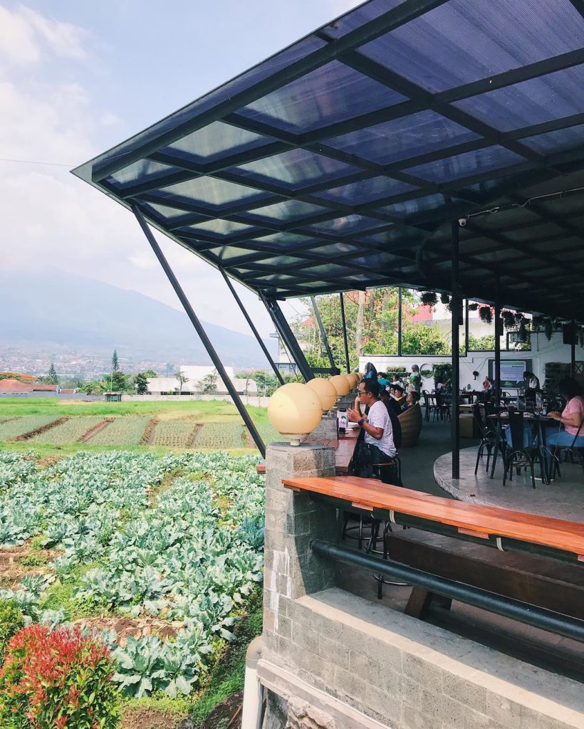 restoran romantis di Malang, Pupuk Bawang Cafe & Dining, Seputar Kota